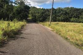 Residential Lot for Sale in Newport