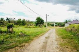 Residential Lot for Sale in Bog Walk