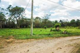 Residential Lot for Sale in Bog Walk