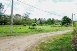 Residential Lot for Sale in Bog Walk