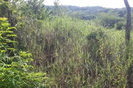 Residential Lot for Sale in Mandeville