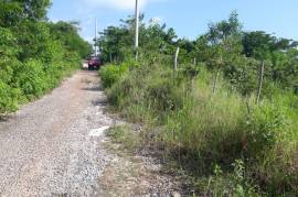 Residential Lot for Sale in Mandeville