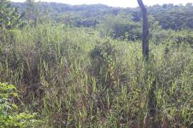 Residential Lot for Sale in Mandeville