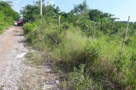 Residential Lot for Sale in Mandeville