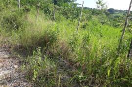 Residential Lot for Sale in Mandeville