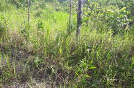 Residential Lot for Sale in Mandeville