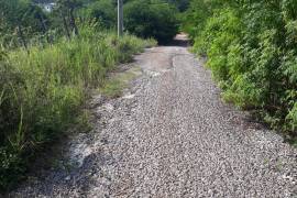 Residential Lot for Sale in Mandeville