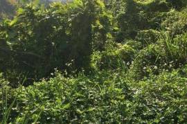 Residential Lot for Sale in Tower Isle