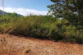 Residential Lot for Sale in Watson Hill