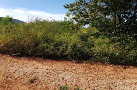 Residential Lot for Sale in Watson Hill