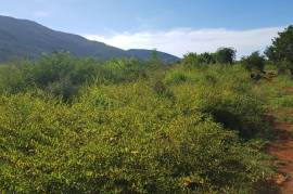 Residential Lot for Sale in Watson Hill