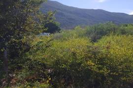 Residential Lot for Sale in Watson Hill