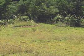 Residential Lot for Sale in Discovery Bay