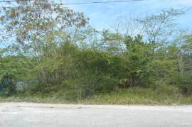 Residential Lot for Sale in Black River