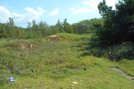 Residential Lot for Sale in Black River