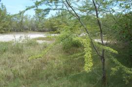 Residential Lot for Sale in Black River