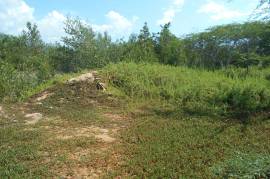 Residential Lot for Sale in Black River