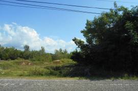 Residential Lot for Sale in Black River