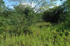 Residential Lot for Sale in Black River