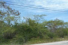 Residential Lot for Sale in Black River