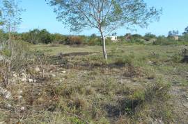 Residential Lot for Sale in Black River