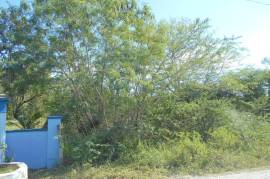 Residential Lot for Sale in Black River