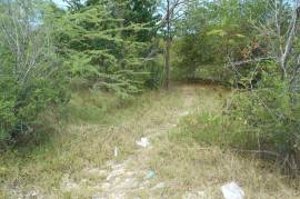 Residential Lot for Sale in Black River