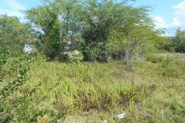 Residential Lot for Sale in Black River