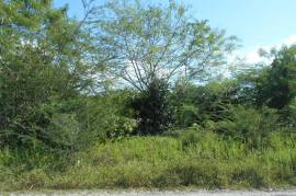 Residential Lot for Sale in Black River