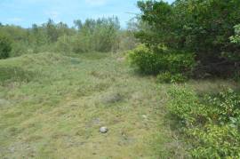 Residential Lot for Sale in Black River