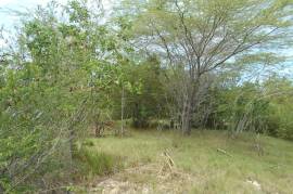 Residential Lot for Sale in Black River