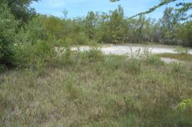 Residential Lot for Sale in Black River