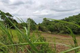 Residential Lot for Sale in Malvern