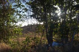 Residential Lot for Sale in Malvern