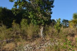 Residential Lot for Sale in Malvern