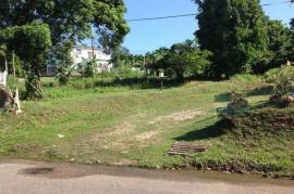 Residential Lot for Sale in Bog Walk