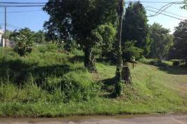 Residential Lot for Sale in Bog Walk