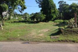 Residential Lot for Sale in Bog Walk