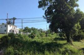 Residential Lot for Sale in Bog Walk