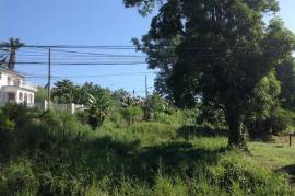 Residential Lot for Sale in Bog Walk