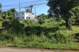 Residential Lot for Sale in Bog Walk