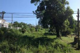 Residential Lot for Sale in Bog Walk