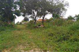 Residential Lot for Sale in Bamboo