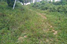 Residential Lot for Sale in Bamboo