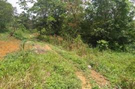 Residential Lot for Sale in Bamboo