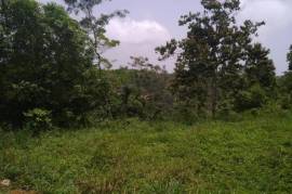 Residential Lot for Sale in Bamboo