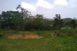 Residential Lot for Sale in Bamboo