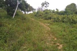 Residential Lot for Sale in Bamboo