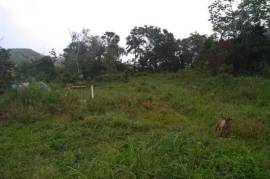 Residential Lot for Sale in Bamboo