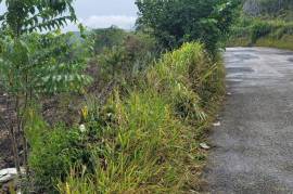 Residential Lot for Sale in Williamsfield